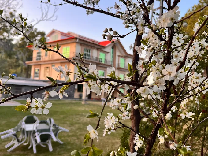 Insignia Resorts Murree mountain view resort exterior
