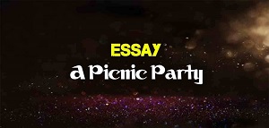 Picnic Party