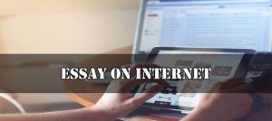 Essay on Internet