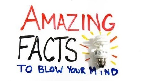 These facts will below your mind