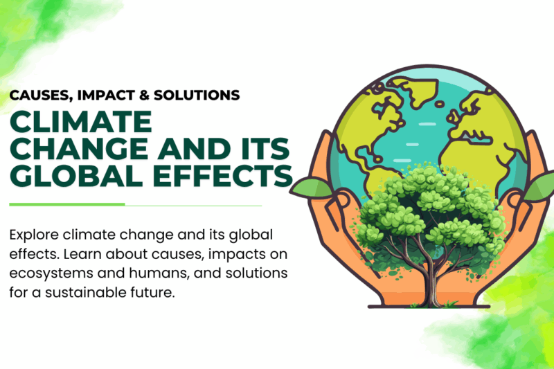 Climate Change and Its Global Effects: Causes, Impact & Solutions